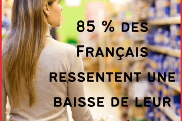 Pouvoir d'achat : comment les Français font face ?