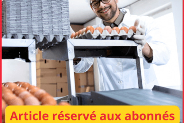 Fournisseurs de la distribution : 1/3 des entreprises en déficit