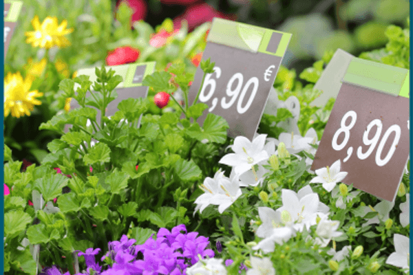 2,6 % d'inflation sur un an