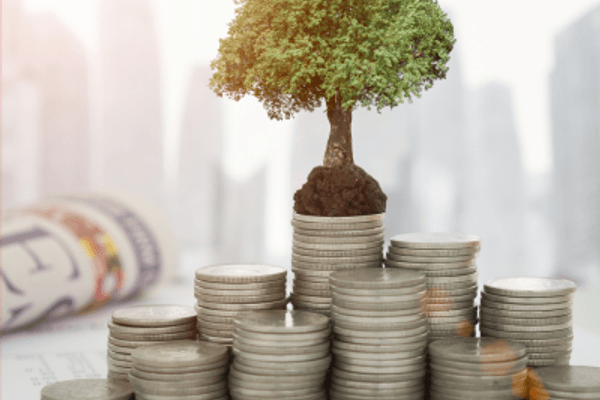 Comment soutenir la croissance verte