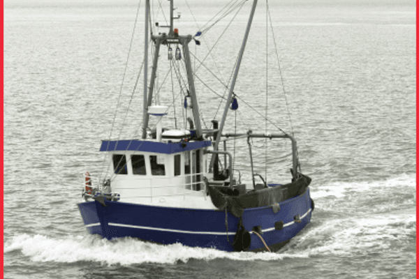 La filière pêche à nouveau dans la tempête
