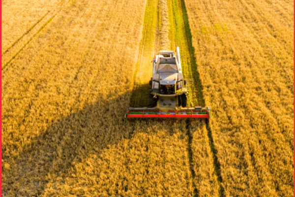 Une question d’indépendance alimentaire