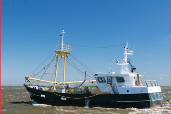 Une stratégie pour la pêche