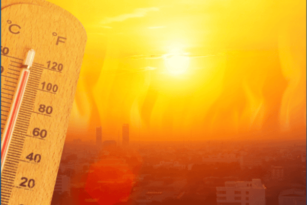Canicule : nouvelles obligations pour les entreprises